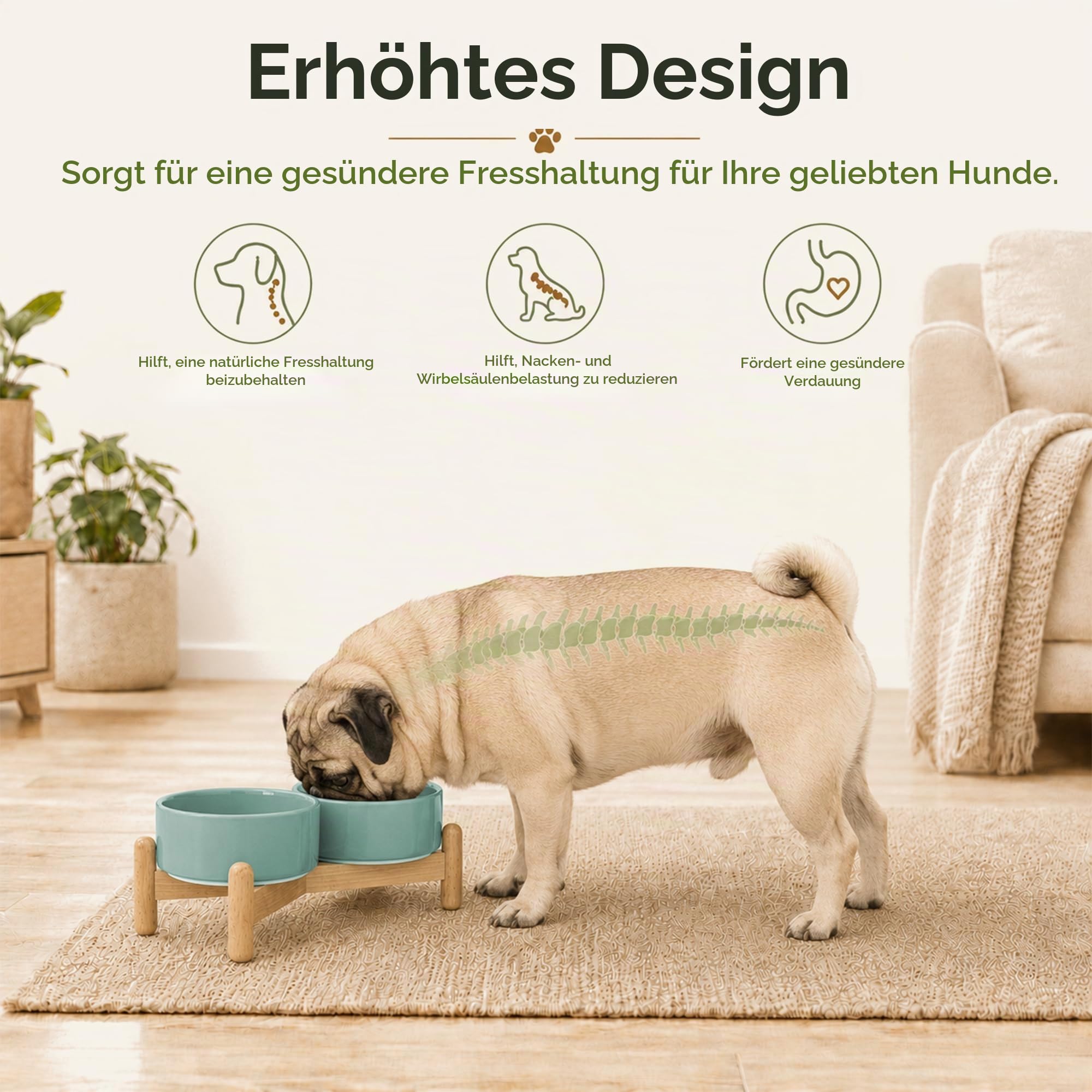 Havniva erhöhte Hundeschalen, Keramik-Hundefutterschalen mit Ständer