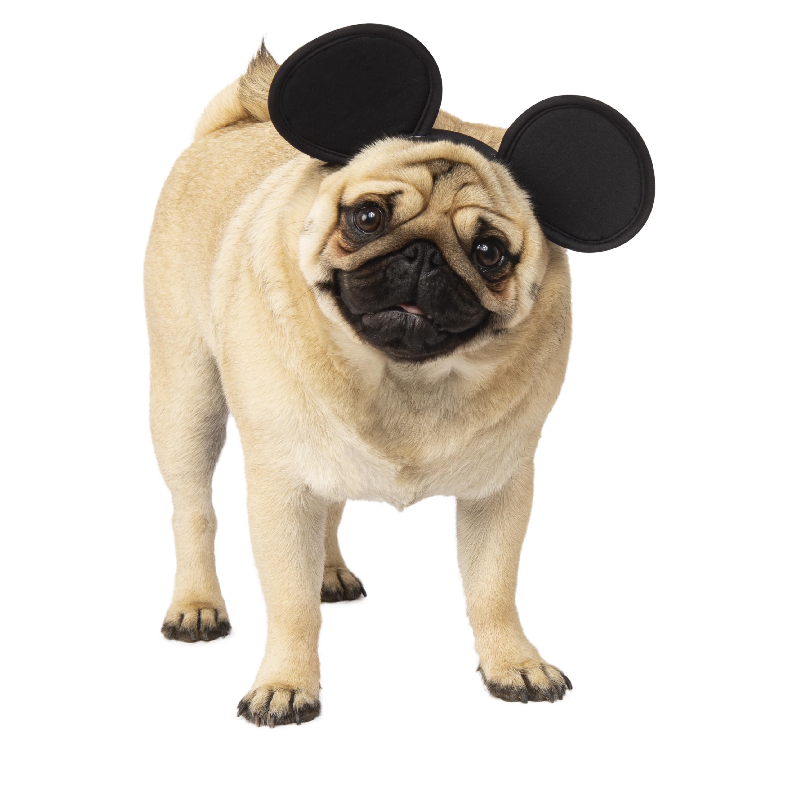 Mickey Mouse costume pour animal domestique Rubies accessoire chien et chat taille S/M
