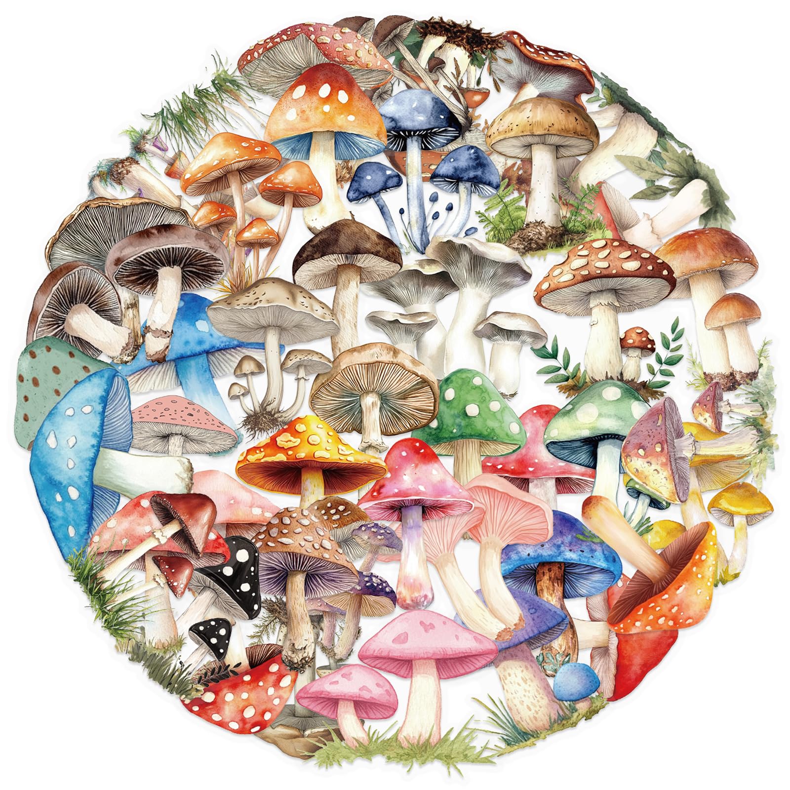 Mushroom Stickers Pack, 50Pcs Transparent PET Aesthetic Mushroom Decals for Water Bottles Laptops and Journals