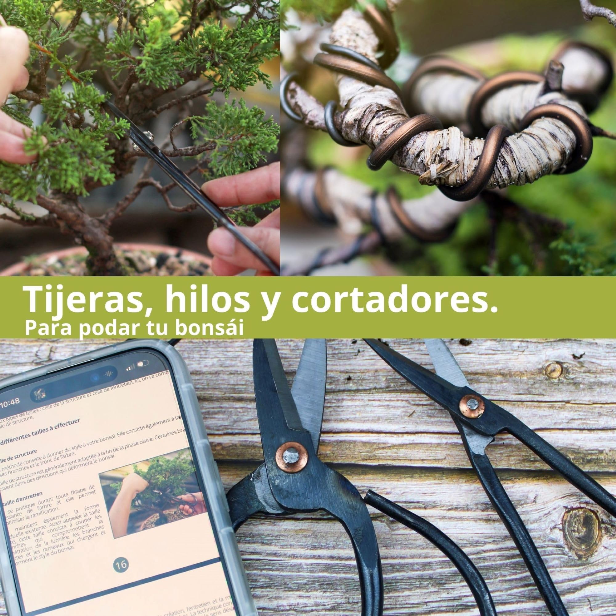 Cultivea® Juego de 32 Herramientas Completas para bonsái - Herramientas de Acero - Jardín - Tijeras para bonsái y Cuidado de Plantas - Tijeras - Alicates - Poda de bonsái - Alambre de Aluminio