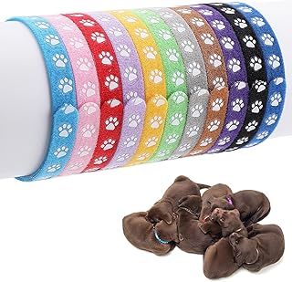 Molain Pack of 12 Puppy Collars, Throwing Collars for Small Puppies, Adjustable ID Collars for Small Cats Dogs, Puppy Identification Collars, Newborn Collars for Kittens (30 cm) product image