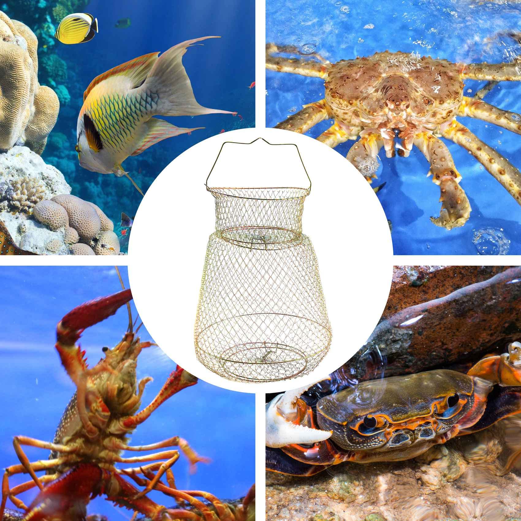 Pot de Peche Pliable Portable en d'acier Piege Net Crabe Cage de Ecrevisse Panier de Poisson