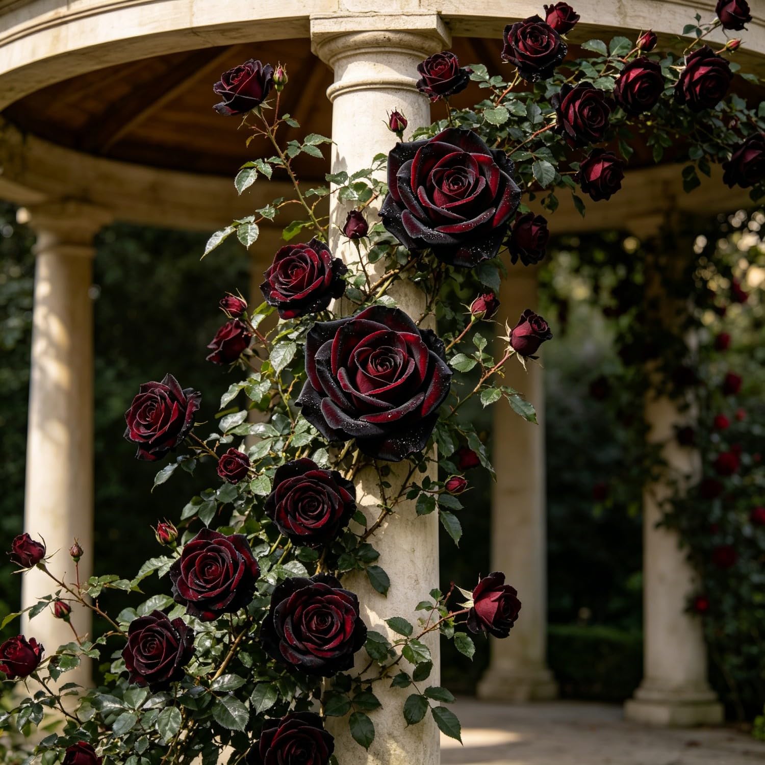 Climbing Rose-Hardy Perennial,Garden Flowers,Ornamental Flowers,Wedding Flowers，Professional Planting for Stunning Garden Displays-500pcs-G