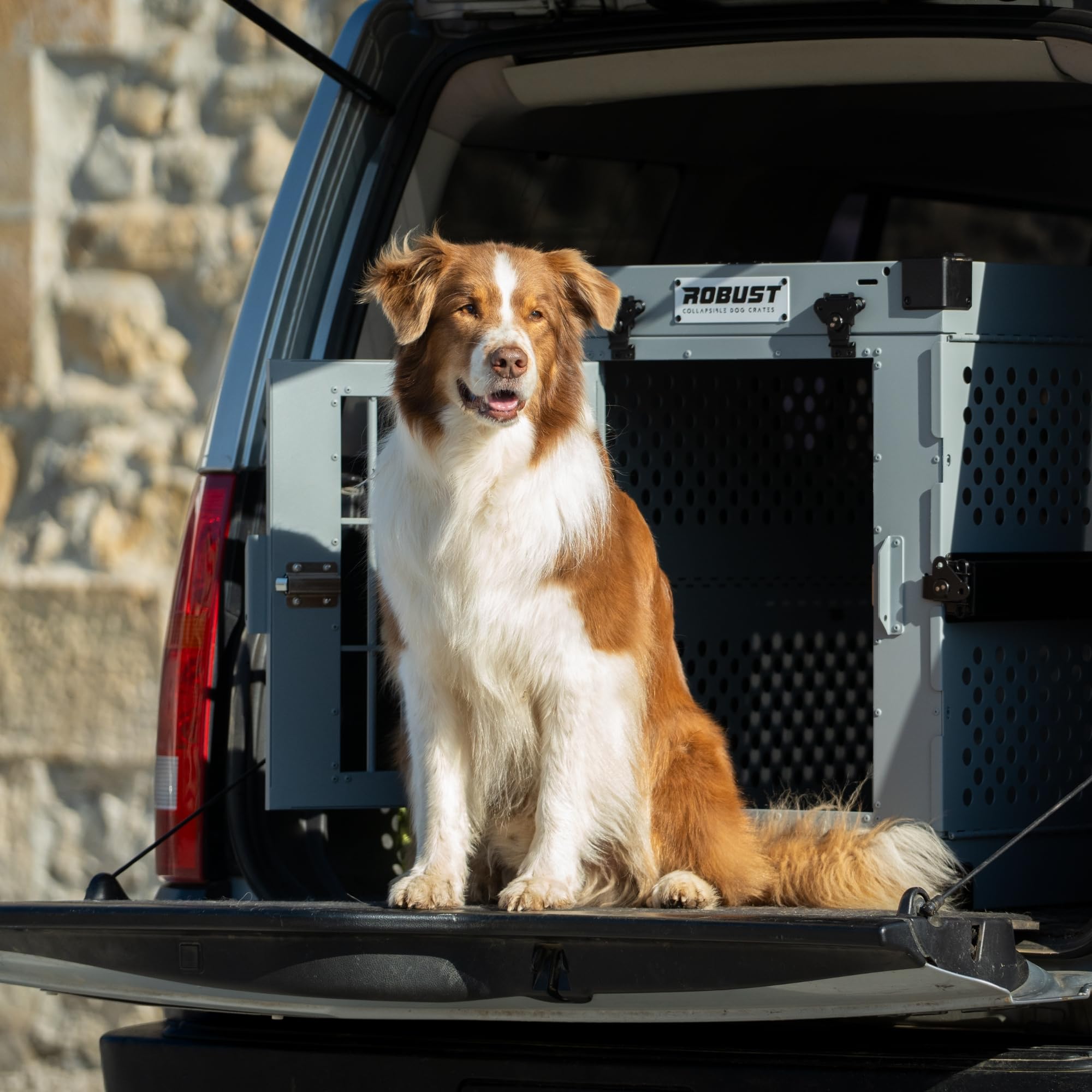 ROBUST Hundetransportbox Auto Faltbar für Alle Hunderassen – Leichte Hundebox aus Aluminium mit Verstärkten Ecken | Tragetasche Hund Kofferraum für Zuhause, Auto, Ausflug und Flugreisen (Gris, L)