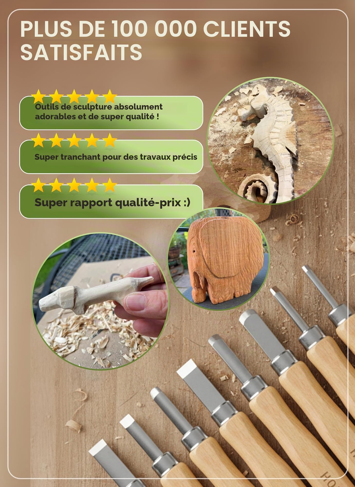 HOLZHELD Outil de sculpture et bloc de bois à sculpter (17 pièces) dans un très bel étui en cuir. Incl. guide de sculpture et grand bloc de bois en tilleul.