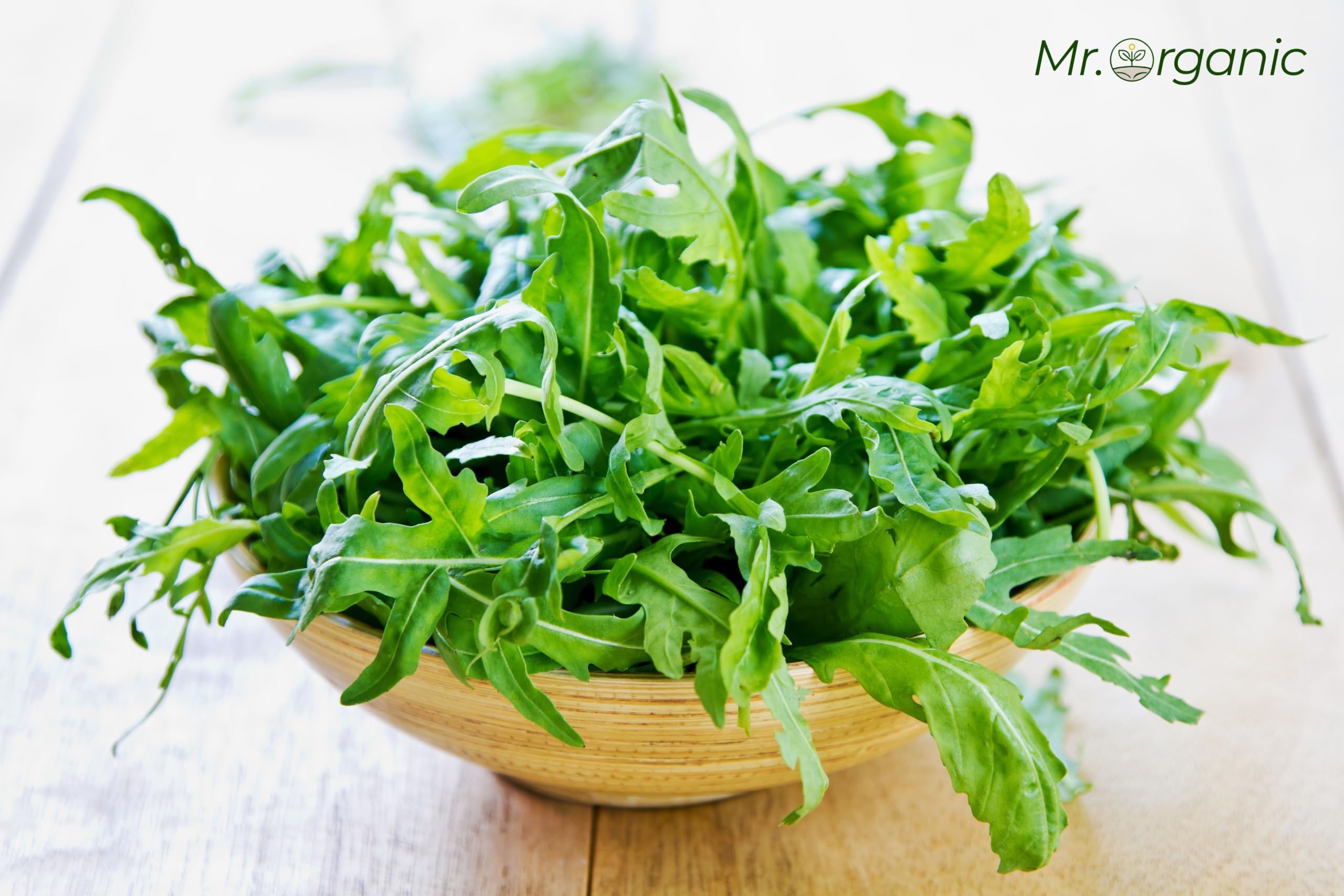 Rocket Arugula Seeds - Grow Your Own! -6 Rocket Arugula Seeds - Grow Your Own! -6