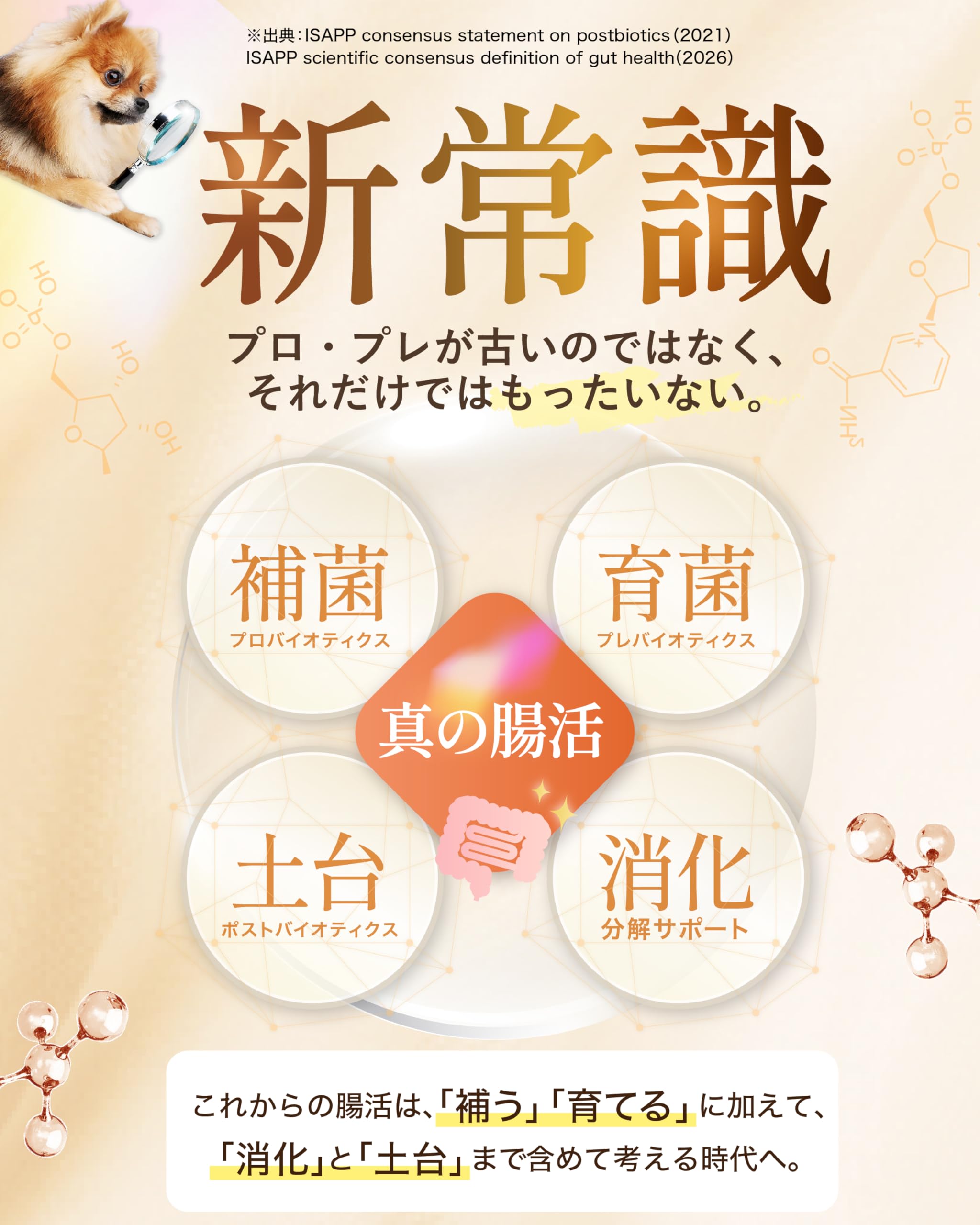 Amazon.co.jp: 【獣医師監修】あいこな プラス aikona + 犬 サプリ 腸