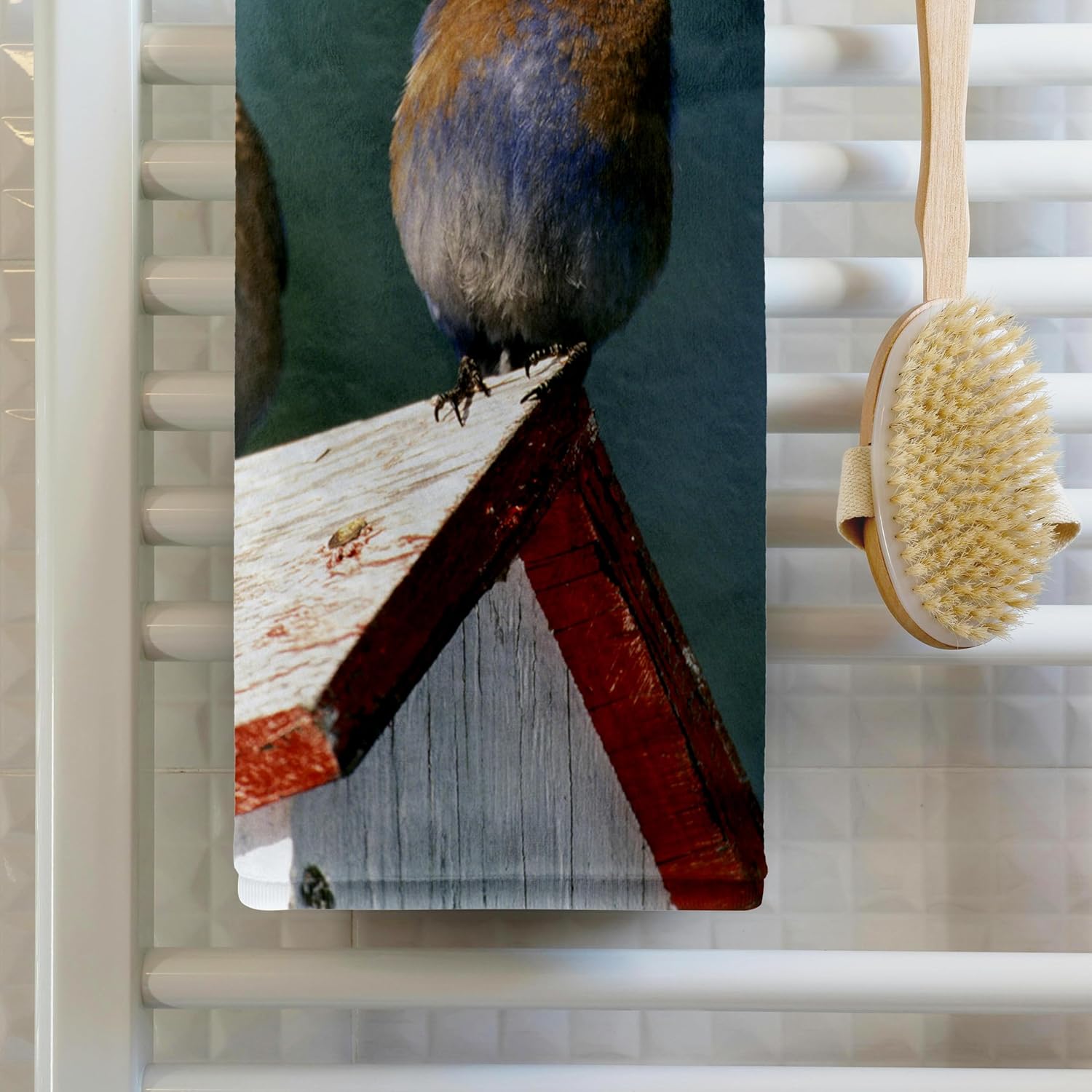 3dRose USA, Oregon. Western Bluebirds - NA02 MWE0130 - Michele Westmorland 22x30 Bath Hand Pool Towel