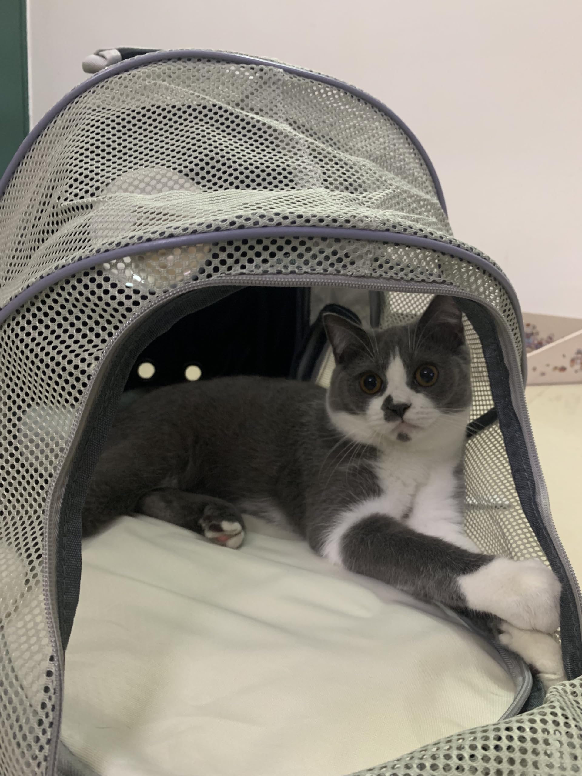 猫用 キャリーバッグ リュック型 太空カプセル ペットバック