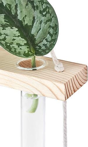 Miniatura 30 de Mkono Tubos de propagación de plantas, terrario colgante de pared de 3 niveles con soporte de madera, mini tubo de ensayo, florero de flores, Marrón