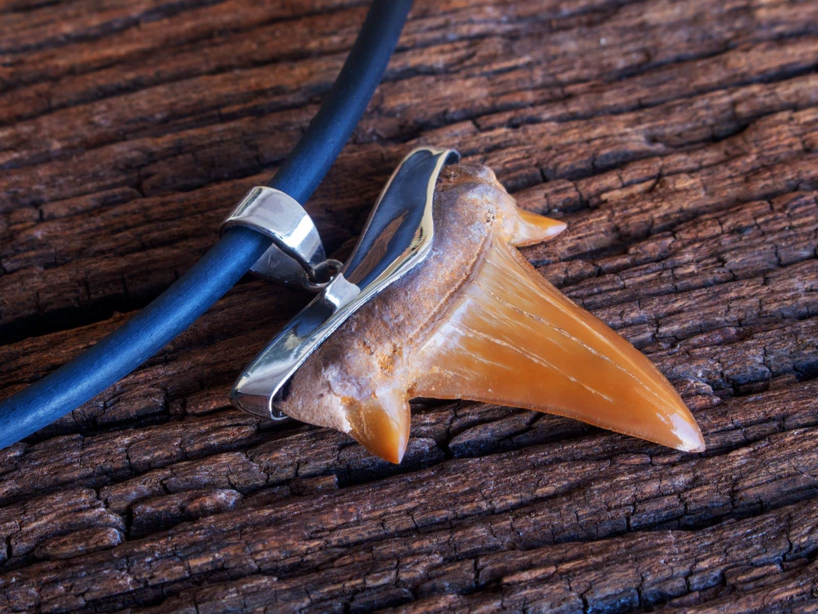 Fly Style echter Haizahn Anhänger mit 925 Silber Fassung - Handgefertigtes Unikat - Fossil Fossilien echt