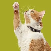 Vista 7 de Rachael Ray Nutrish Natural, alimento seco para gatos