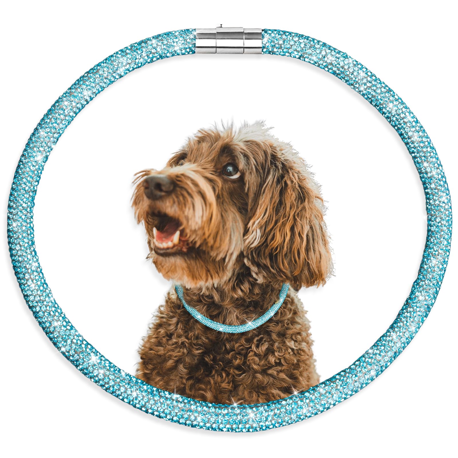 Woofuu Stylish and Luxurious Diamond Dog Collar,Magnetically Absorbent Clasp,Full Diamond Design,Perfect for Wedding and Everyday Walking - Blue
