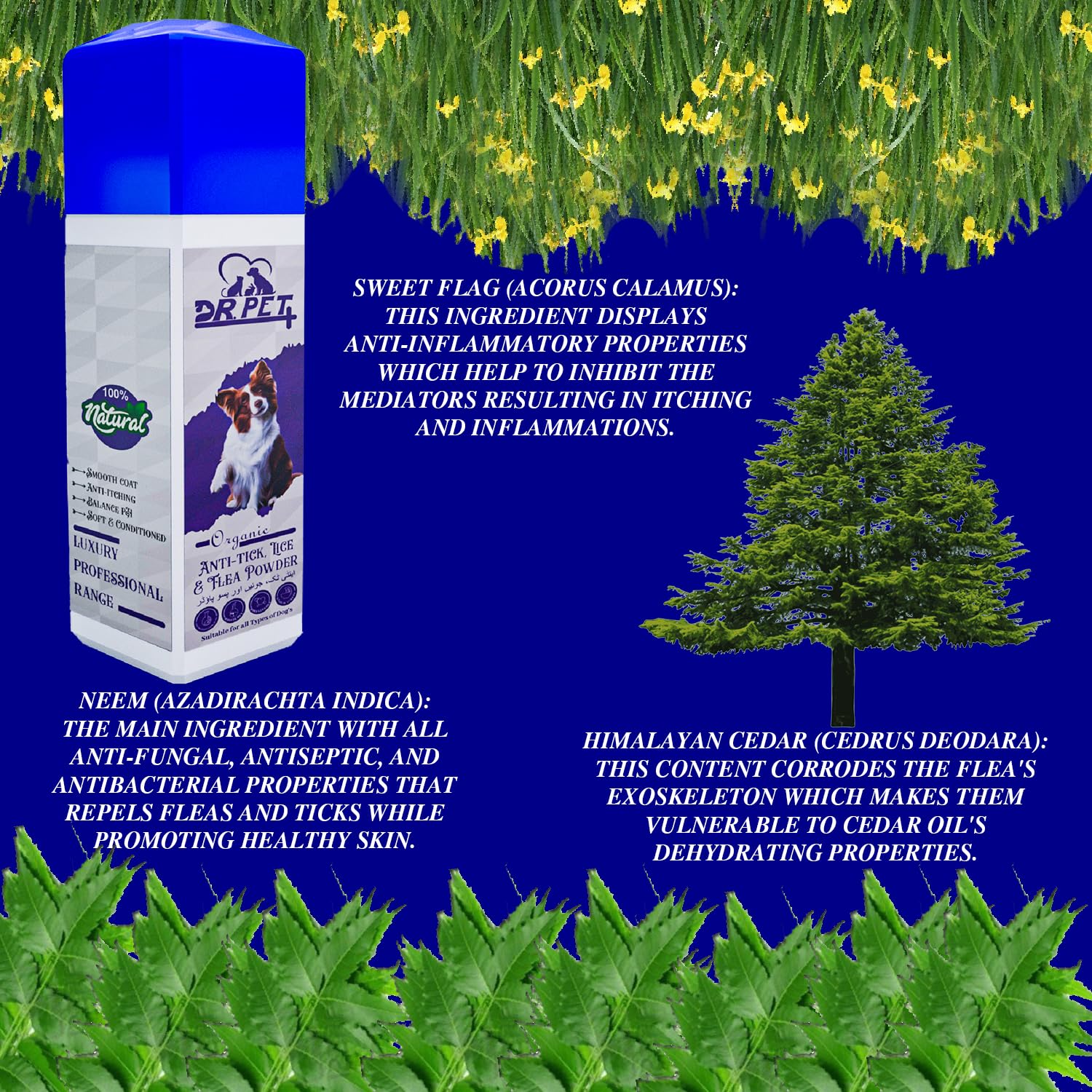 DR PET PLUS Powder for Dog Made with Natural Actives Help in Tick & Fleas Suitable for All Dogs Breed -100Gm 1