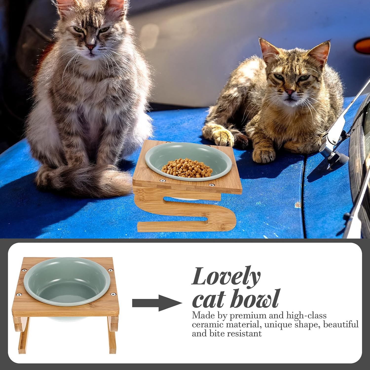 Cabilock Ceramic Cat Feeding Bowl with Stand 15cm 600ml Elevated Anti-Slip Kitten Bowl for Indoor Cats Pet Feeding Station