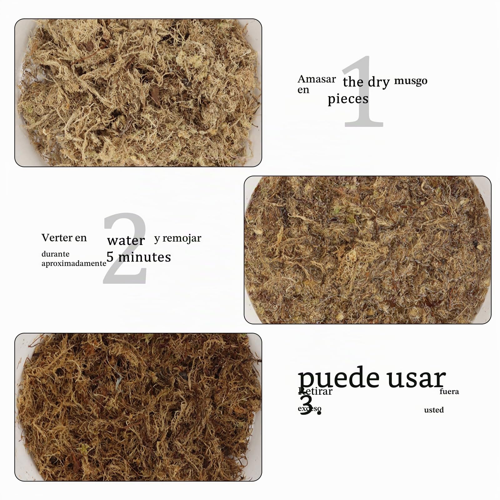 CATELL 190 g de musgo Sphagnum para plantas, terrario, tortuga y plantas de interior
