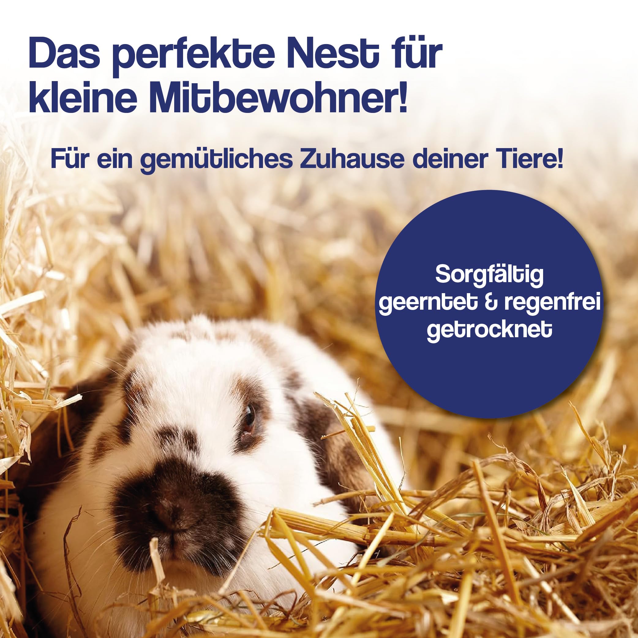 10 kg Stroh + 10kg Heu – Strohballen und Heuballen für Kleintiere - für Kaninchen, Meerschweinchen, Hamster und andere Nager – auch als dekostroh oder heu deko - Direkt aus Bayern