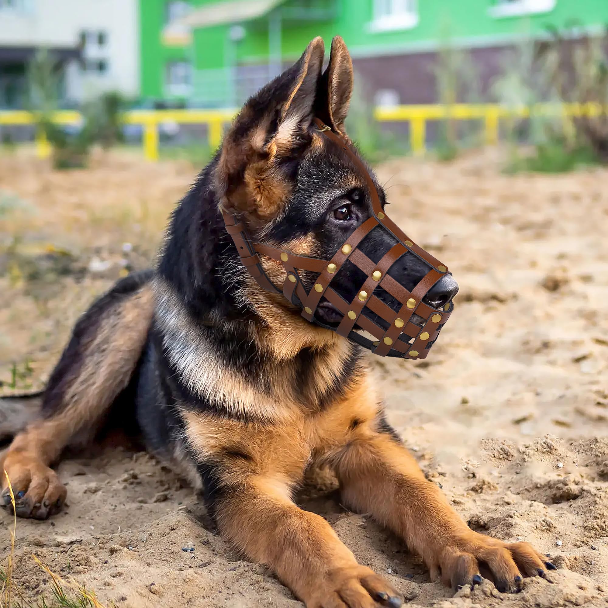 OOPSDOGGY Doberman Dog Muzzle for Large Dogs - Image 4