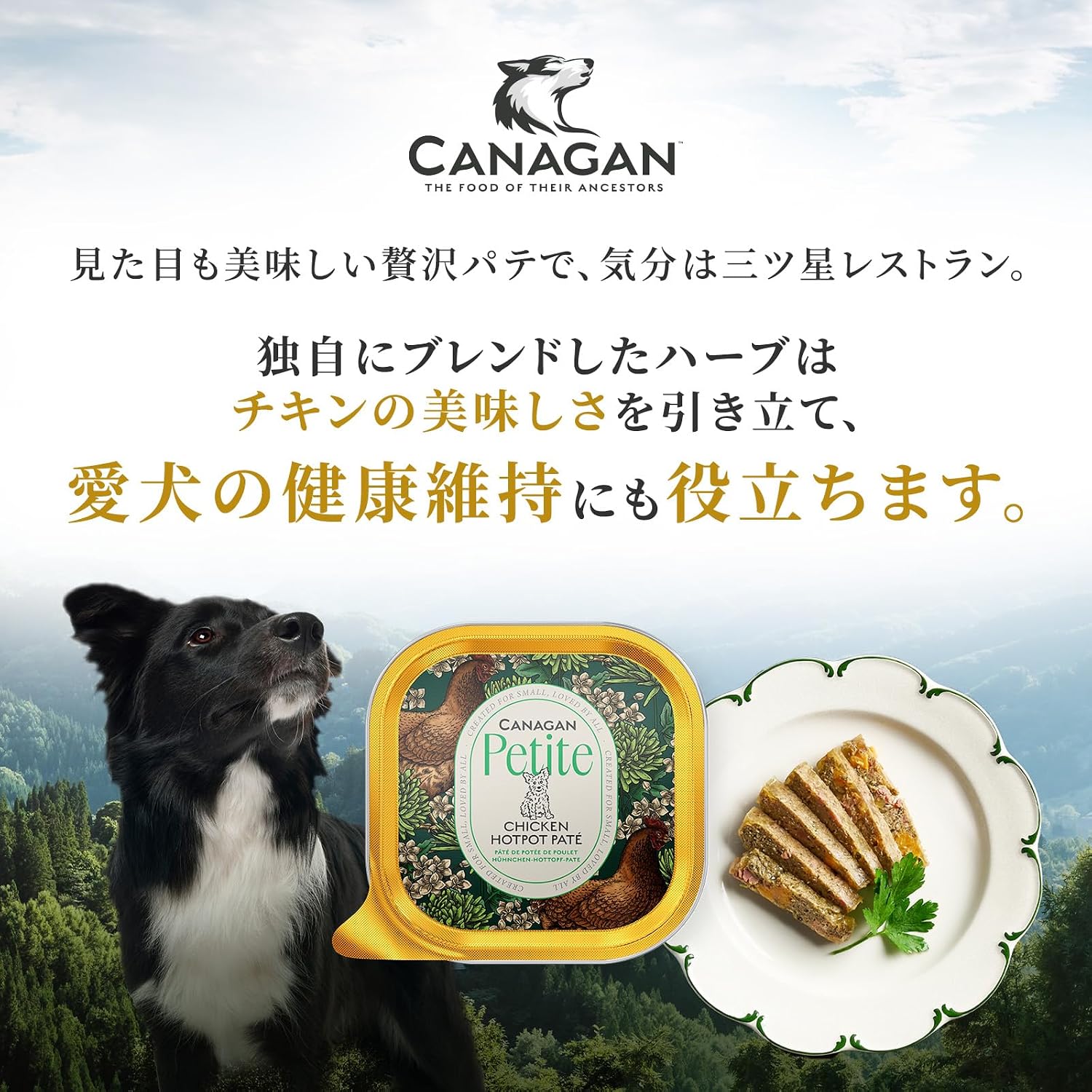 カナガン ドッグフード プチ チキン トレイ