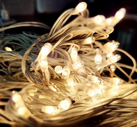 Ascension  Single White Rice Lights Serial Bulbs Decoration Lighting for Diwali Christmas 8 Meter