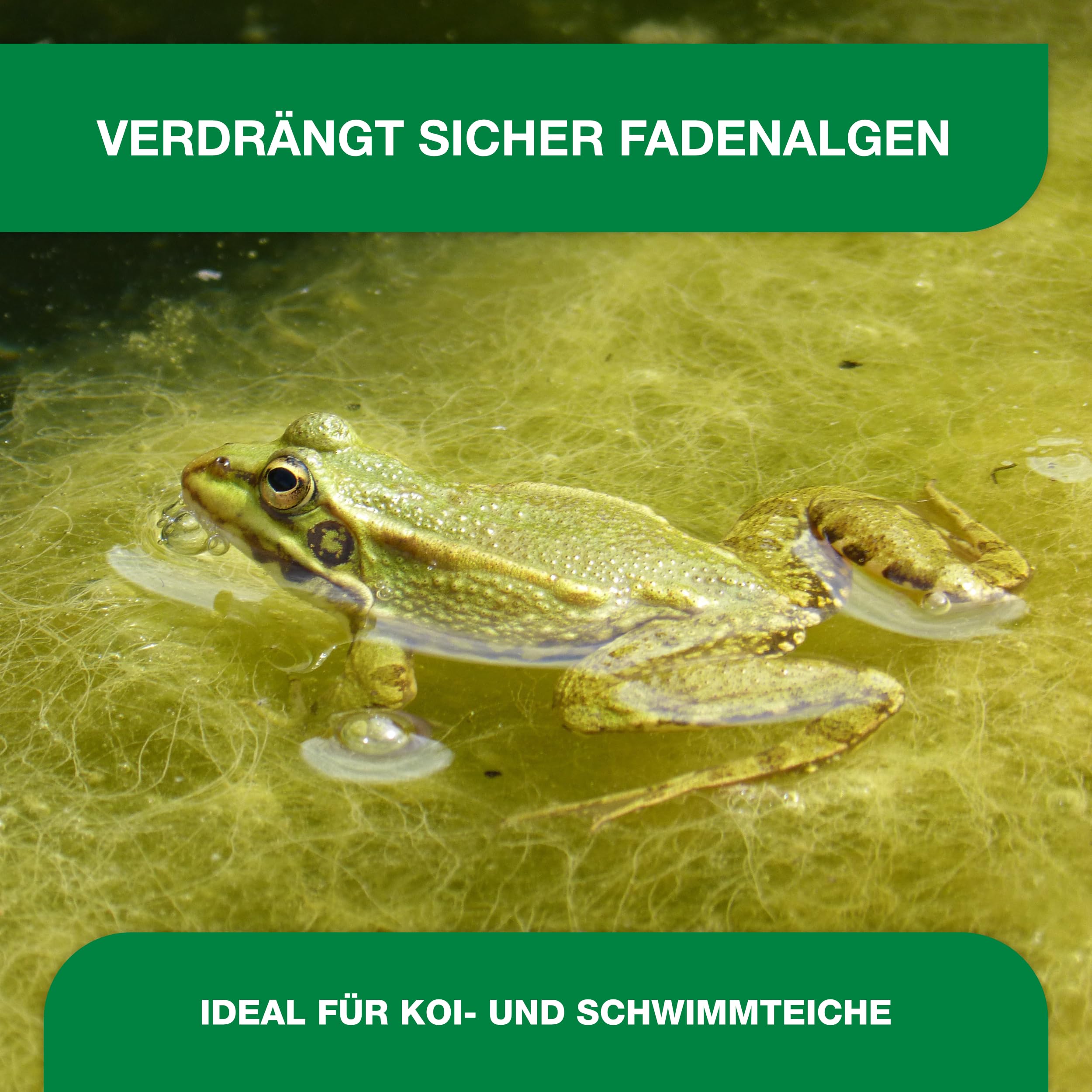 Teichpoint Pond Repair Liquid (5 Liter) | Entfernt Fadenalgen auf biologische Weise im Garten- und Koiteich | Algenfreies Teichwasser | Reichweite 150.000 Liter
