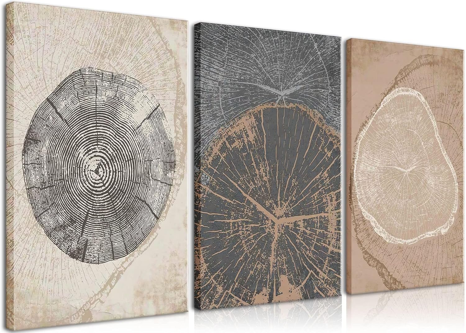 AKWISH 3Pcs Framed Tree Ring Canvas Wall Art Print Pastel