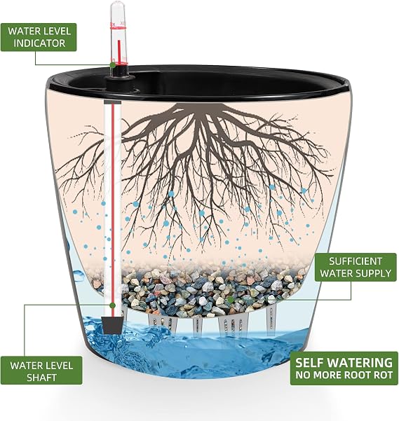 Dexceder 9x8 Self Watering Planter (Black High Gloss)