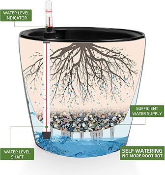 Dexceder 9x8 Self Watering Planter (Black High Gloss)