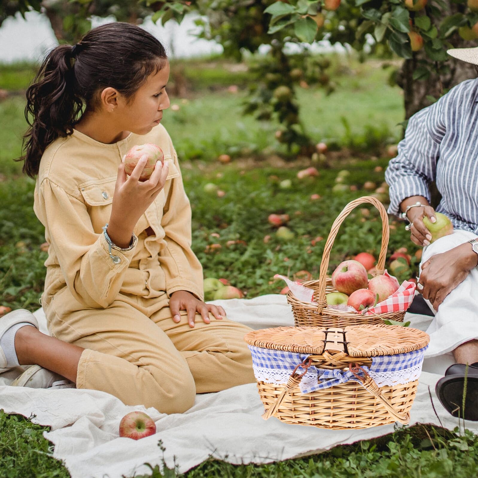 DOITOOL Cesta de Picnic de Mimbre con Tapa Cesta de Almacenamiento Tejida 35x25x17 Cm para Frutas y Pan para Hogar y Exteriores