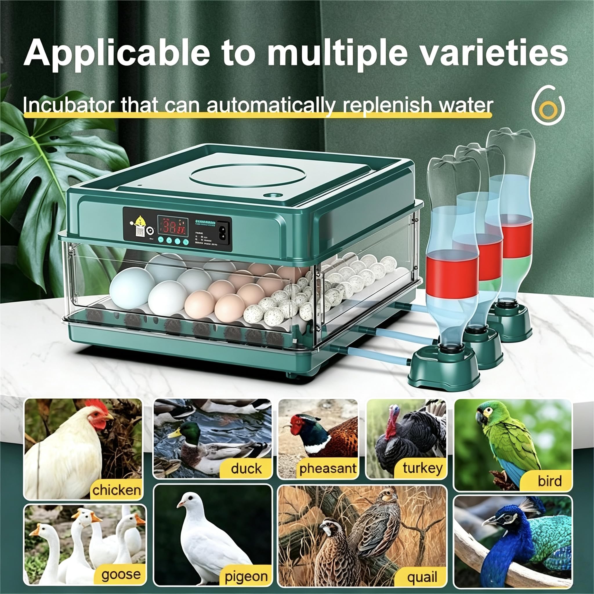 Incubadora totalmente automática de 10-36 huevos, incubadora de gallinas con giro automático de huevos, control de temperatura y humedad, para incubar pollos, patos, gansos, codornices (10 huevos)