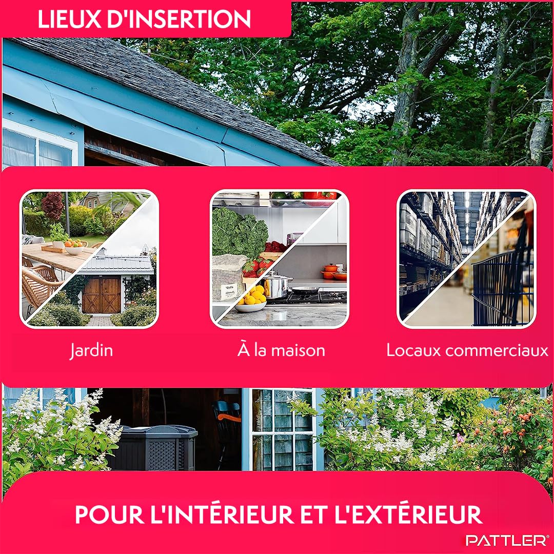 PATTLER® Piège à Souris Vivante Extra Grand - Cage de Capture sans Tuer pour Souris, Rats et Rongeurs - Nasse Réutilisable avec Trous d'Aération - Intérieur & Extérieur - X1 Transparent