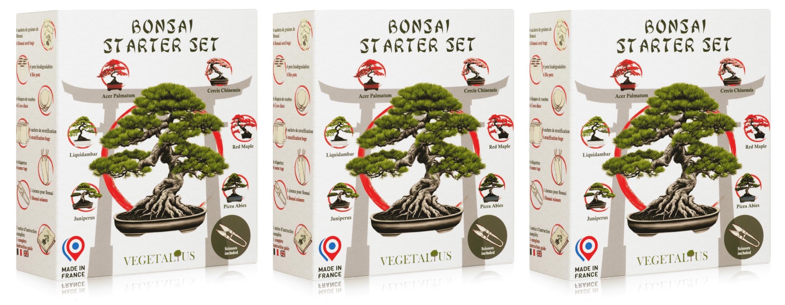 Kit complet de 6 bonsaïs avec graines et accessoires x3 - Fabriqué en France - Une idée cadeau originale pour hommes et femmes pour votre maison ou votre jardin