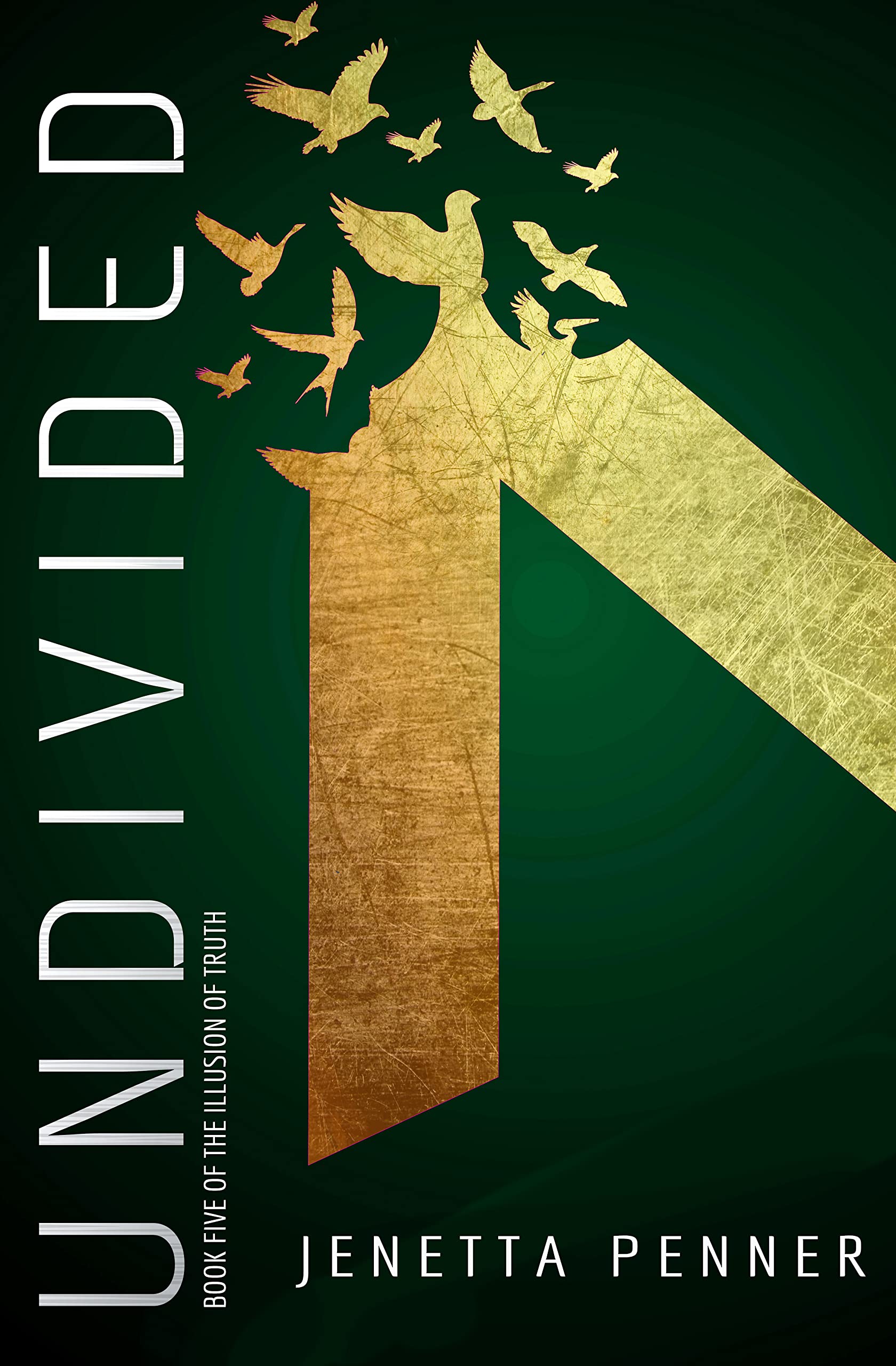 Undivided: Book Five of The Illusion of Truth
