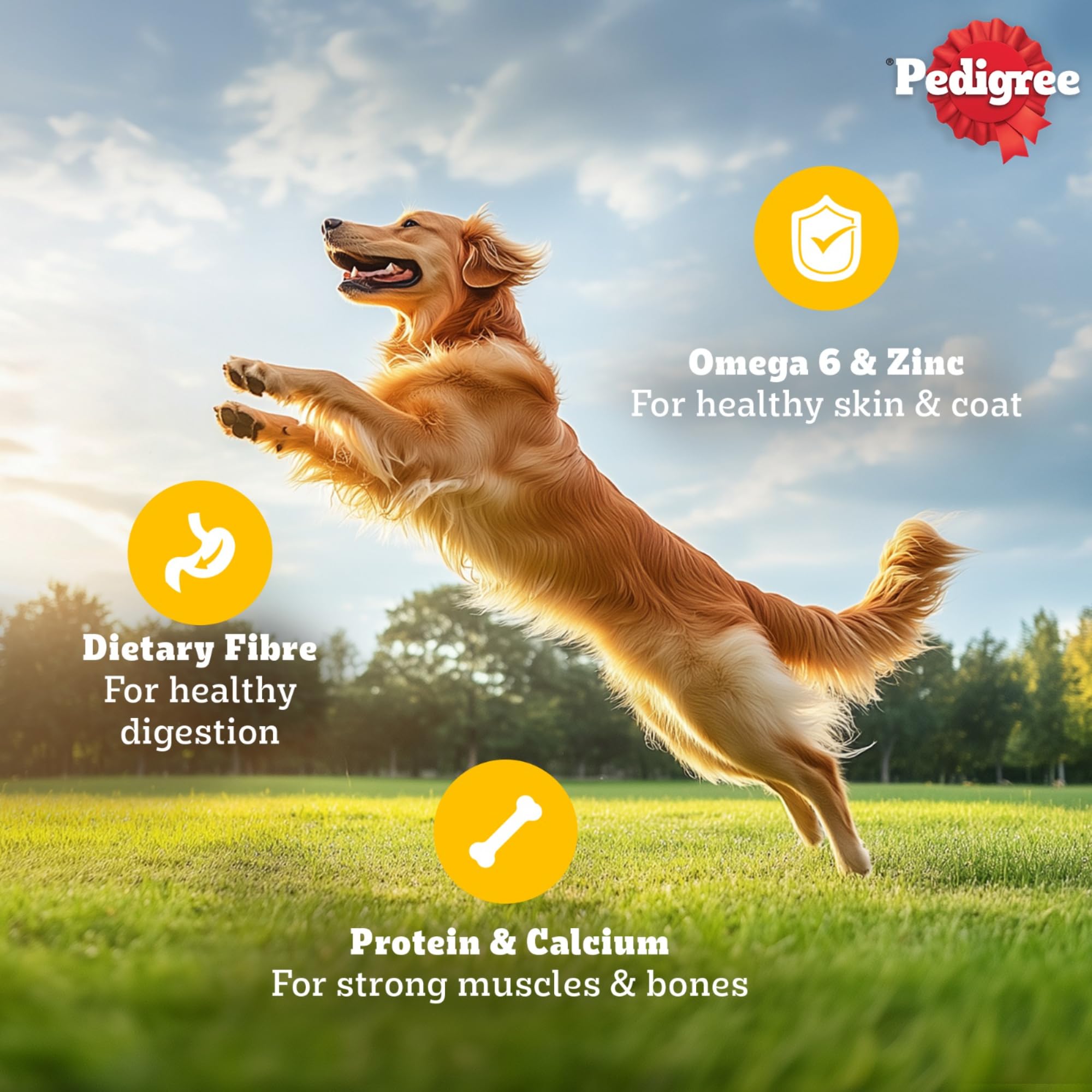 Pedigree Adult Wet Dog Food, Chicken & Liver Chunks in Gravy, 70 g (Pack of 60), Complete & Balanced Meal for Adult Dogs 1