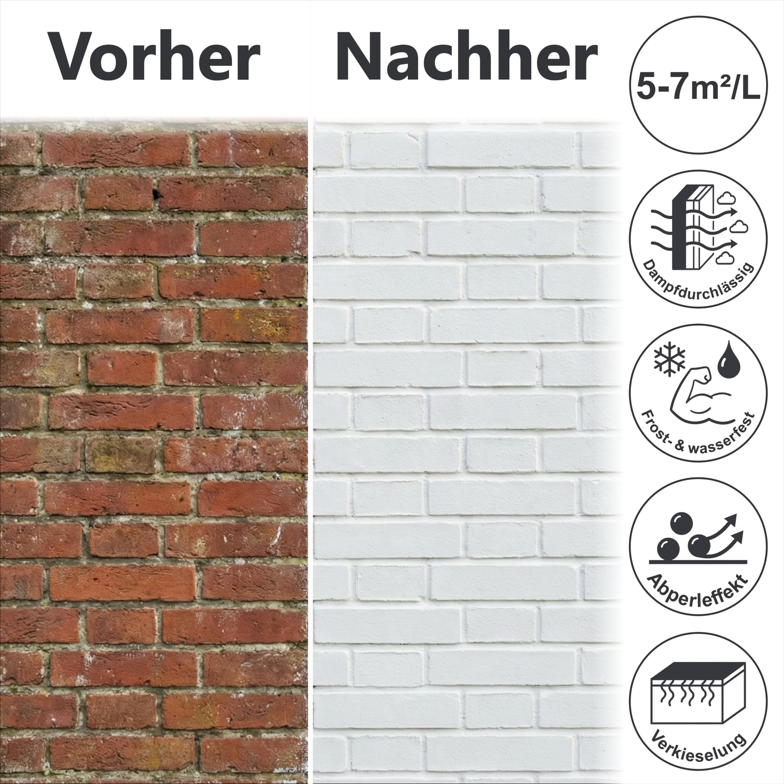 WO-WE Nano Fassadenfarbe W520 Wandfarbe für Außen Mauer Fassade Anthrazitgrau - 750ml