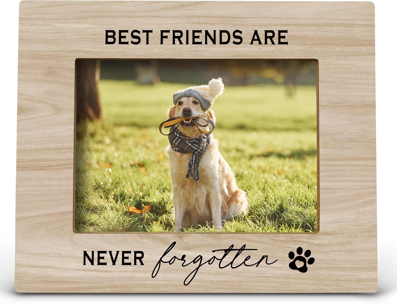 FONDCANYON Pet Memorial Frame - Dog & Cat Picture Frame, Best Friend Memorial Gift 5x7 (Color2)