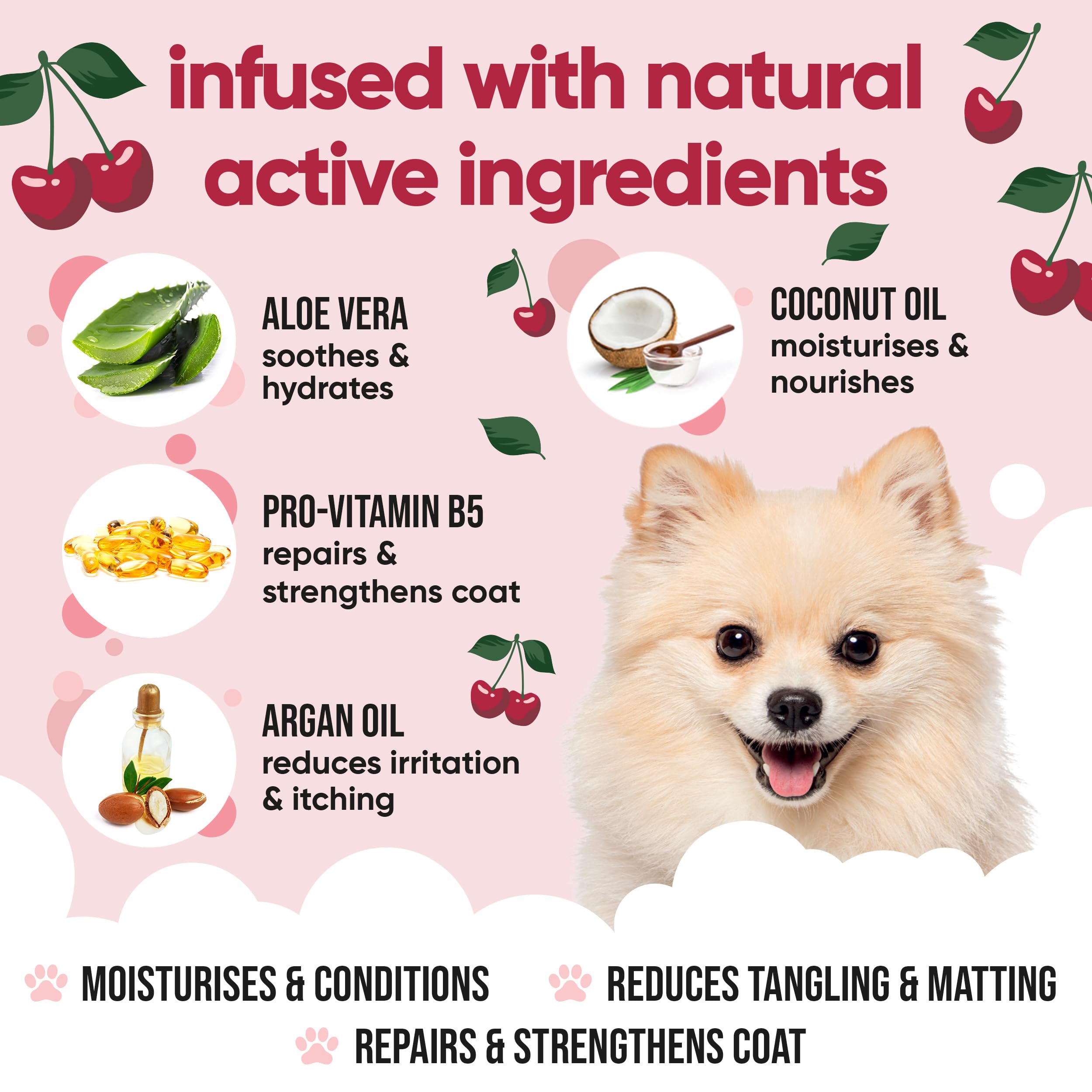 Black Cherry Dog Conditioner von Buddycare - 5L - Schwarzkirsch-Duft-Hundespülung mit Aloe Vera & Pro Vitamin B5