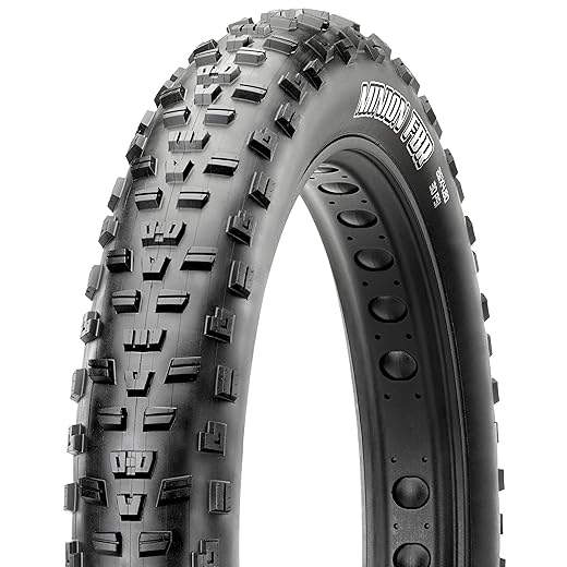 Maxxis Minion FBR Dual Compound Folding Tire