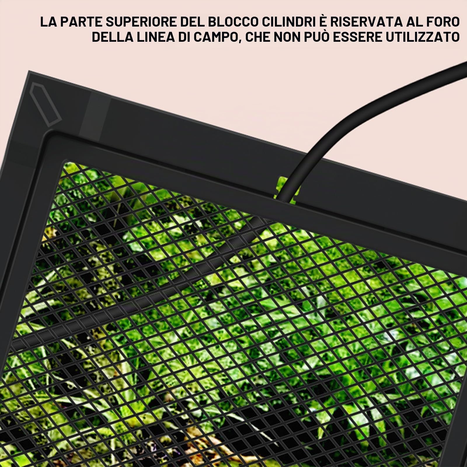 Rettile Errarium - Scatola di alimentazione per rettili, con ventilazione frontale, terrario in vetro con chiusura a vite anti-rottura, contenitore multiuso per rettili, anfibi, nero, 20 x 20 x 30 cm