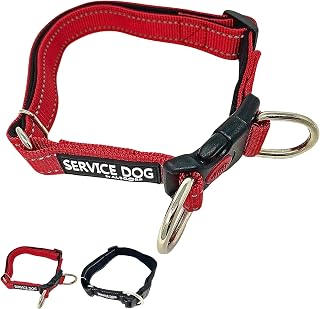 Albcorp Reflective Service Dog Collar – Sizes XS to XL (8.6–28.7 Inches), Service Dog Rubber Patch, Neoprene-Padded Comfort & High-Visibility Gear for Dedicated Handlers, Large, Red