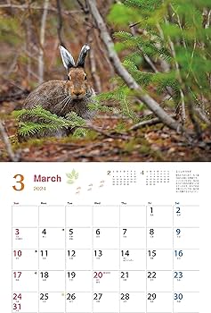 カレンダー2024 太田達也セレクション 森の動物たち Tiny Story in the