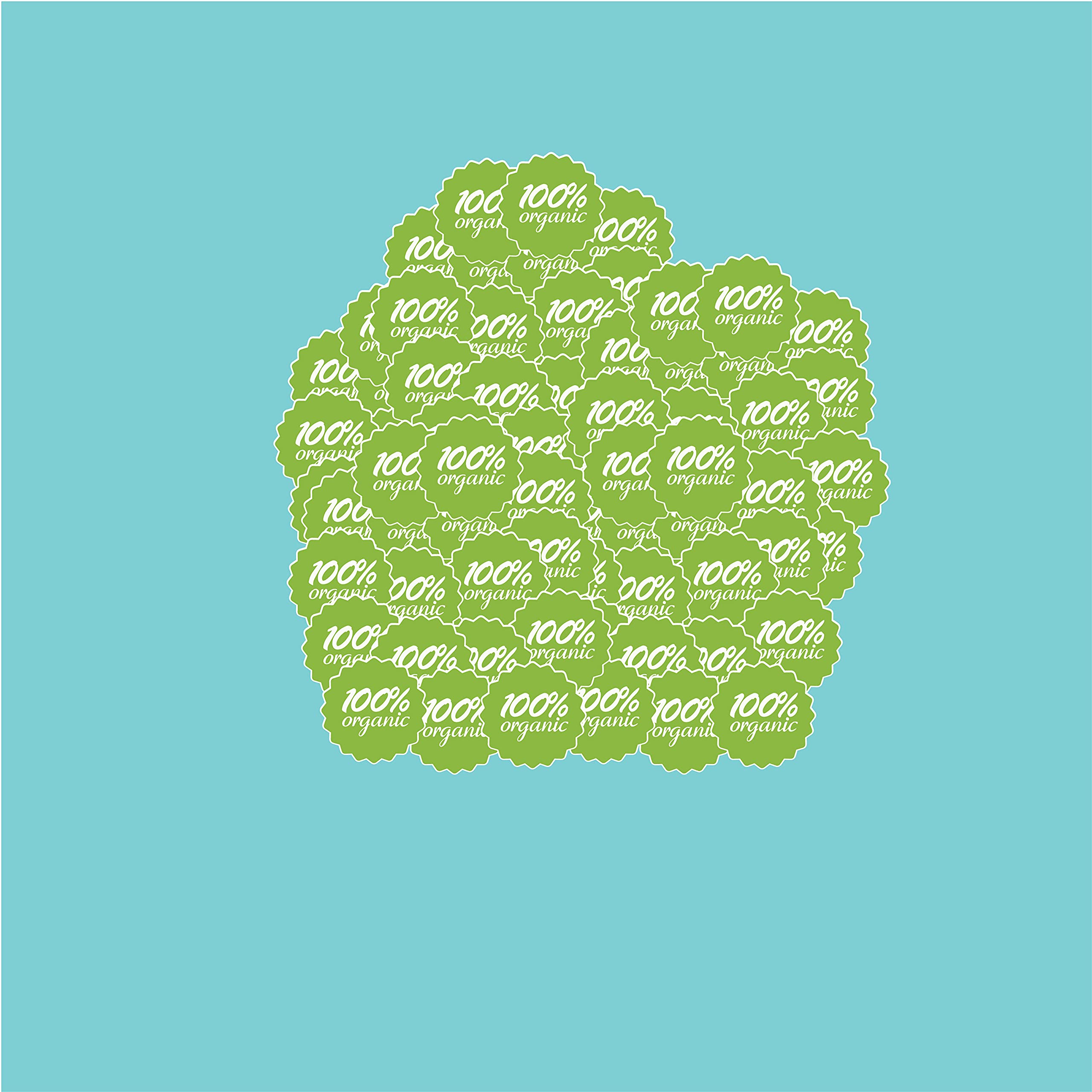 VVWV 100% Organic Packing Labels Mini Stickers (Multicolored) Pack of 50