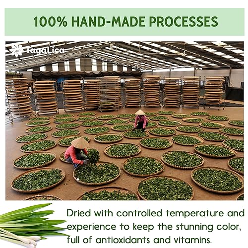 Miniatura 7 de 135 bolsas de té de citronela, hojas de citronela 100% naturales y puras, bolsas de té ecológicas, té de hierbas de limoncillo. Té de hojas de