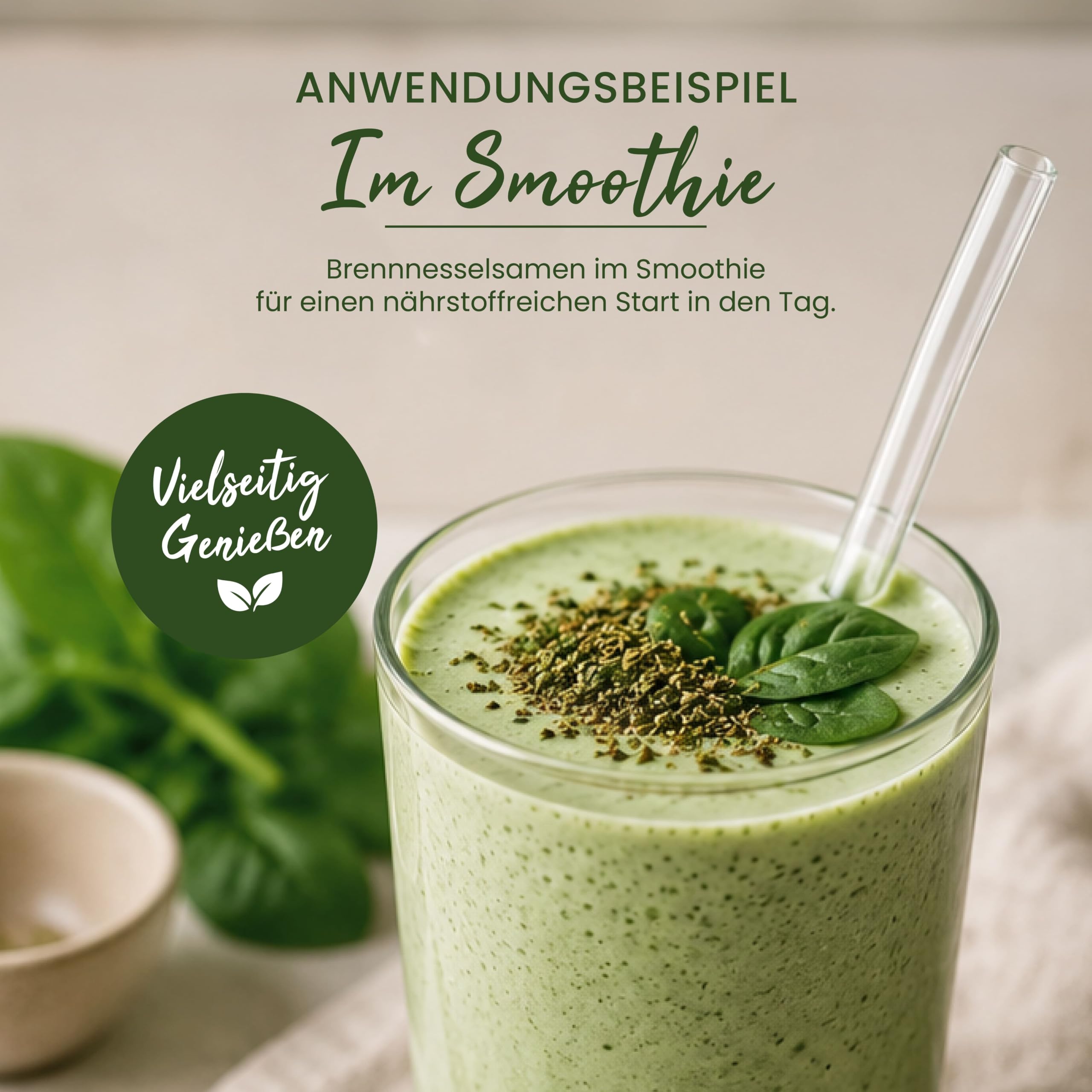 2 kg Brennnesselsamen | Ganz | Keimreduziert | Vegan | Rohkost | TASTE MARKET Qualität | Brennessel Samen ganz