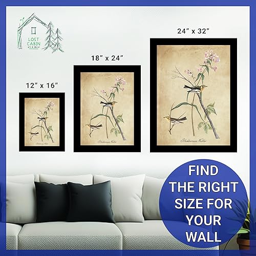 Vista 155 de Towee Bunting by James Audubon - Marco biselado negro de 12 x 16 pulgadas, decoración artística enmarcada para pared, reproducción de pinturas