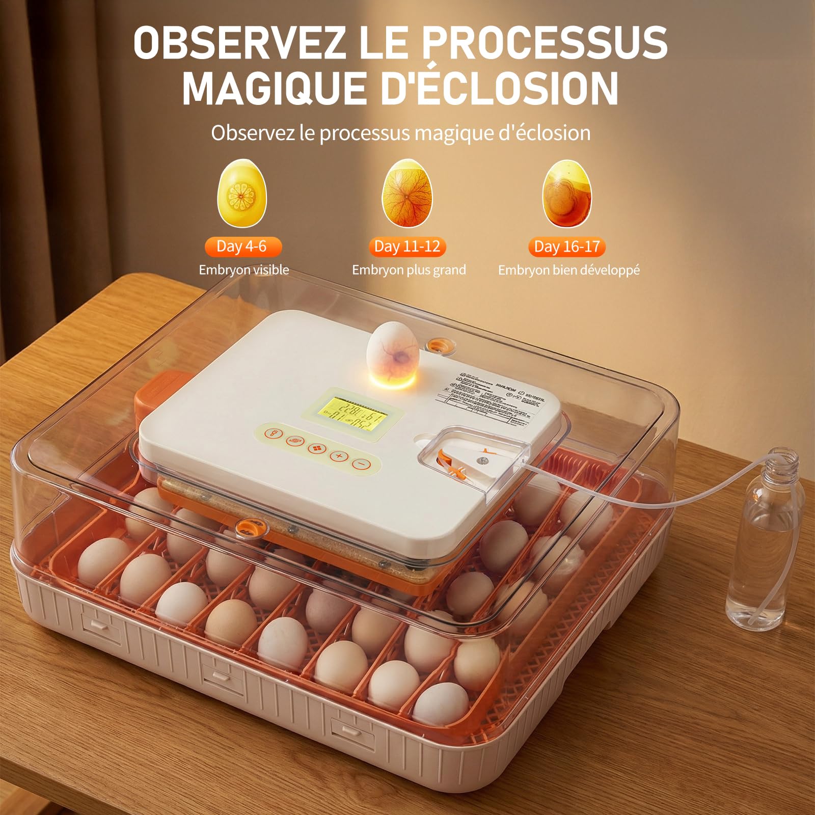 LEADZM Couveuse Oeuf Automatique 56 Oeufs | Incubateur Oeuf Automatique avec Contrôle Température, Affichage Humidité，pour Poules Canards Oies Cailles