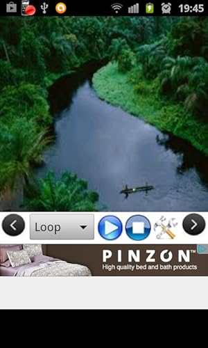 Floresta Sons relaxantes