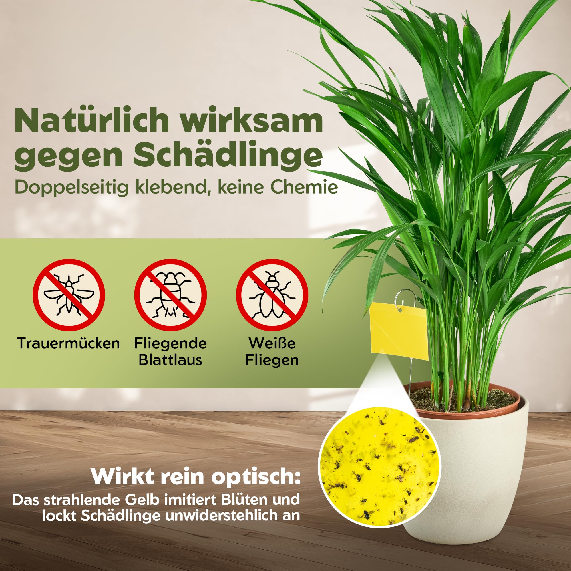 VITALLEO Gelbtafeln gegen Trauermcken - 50 Stck  Trauermcken bekmpfen,  Gelbsticker Zimmerpflanzen & Garten  Mittel gegen Trauermcken & kleine  Fliegen : Amazon.de: Garten