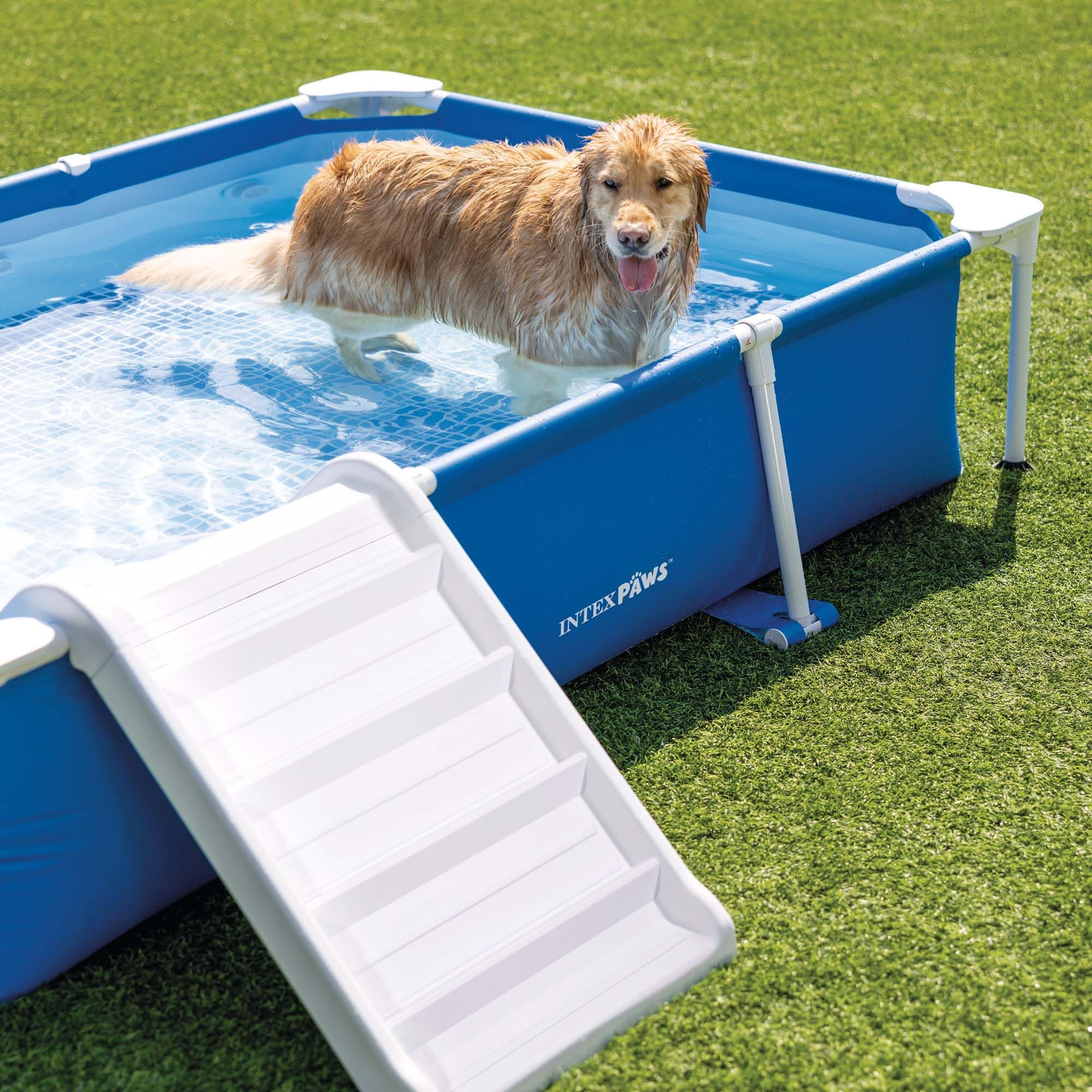 Intex Piscina Desmontable Rectangular para Mascotas, 229x152x46 cm, Depuradora incluida, Filtro Tipo H, Skimmer, Cobertor, Materiales Resistentes, Piscina Perros, Piscinas Desmontables (55286)