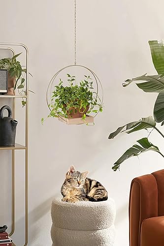 Miniatura 5 de CAIJUDONG Soporte para macetas colgantes para plantas de interior, ventana, techo, pared, colgador de metal para plantas de 15 pulgadas, soporte